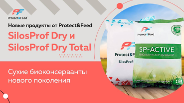 Компания Протектфид выводит на рынок биоконсерванты нового поколения SilosProf Dry
